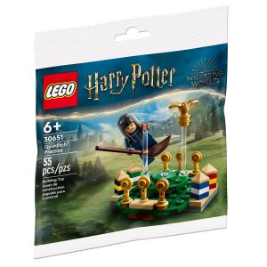 LEGO® Harry Potter 30651 Zwerkbal™ Training