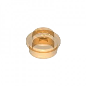Plaatje rond transparant 1x1 oranje 34823/6240227
