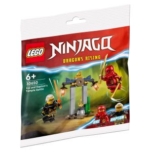 LEGO® Ninjago 30650 Tempelstrijd van Kai en Rapton